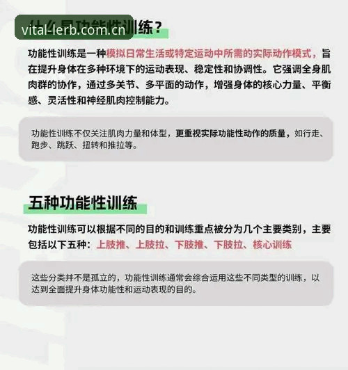 深度揭秘：乐宝活力运动如何重塑你的7B2D训练体验？