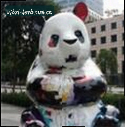 马超